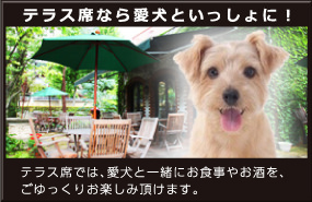 テラス席なら愛犬といっしょに!