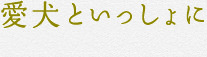 愛犬といっしょに